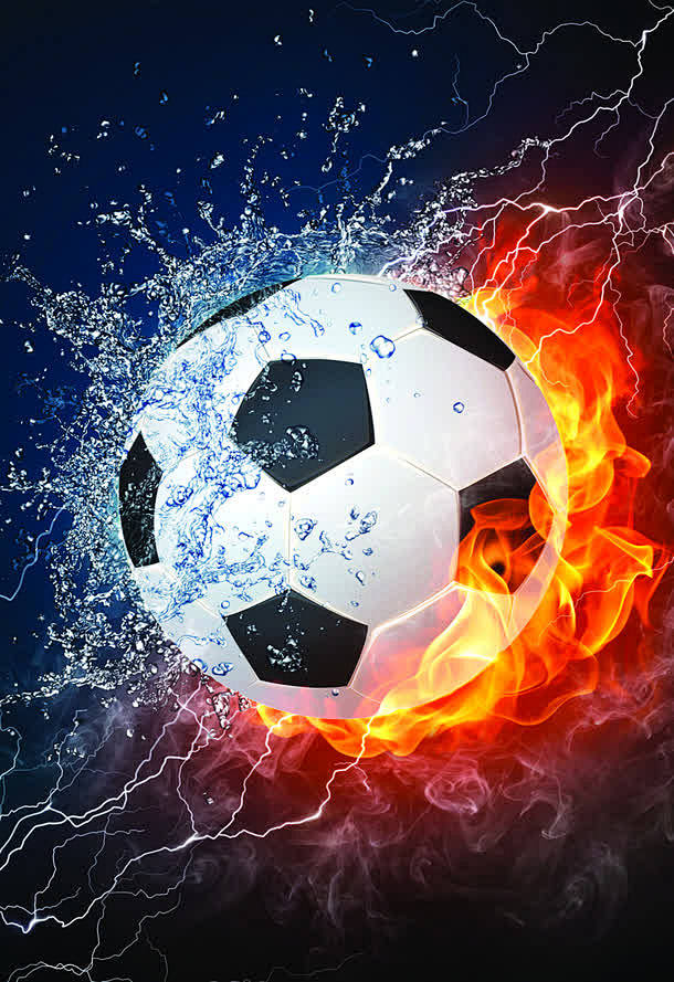 莲花合影 莲花合影