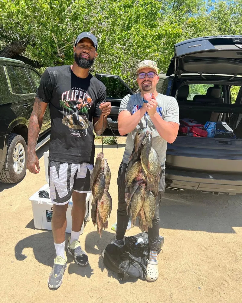 协会要求所 协会要求所