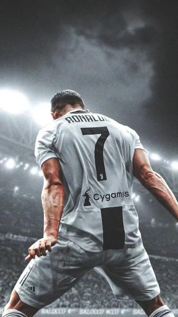 青训阶段重 青训阶段重